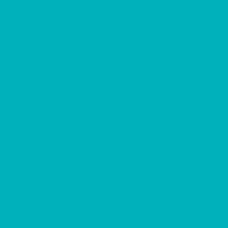 Jump 4 Joy Jump Standards Light Blue Jump standards - 5.75' High Set