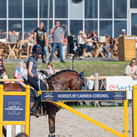 Jump 4 Joy Jump Standards Working Equitation Gate Obstacle