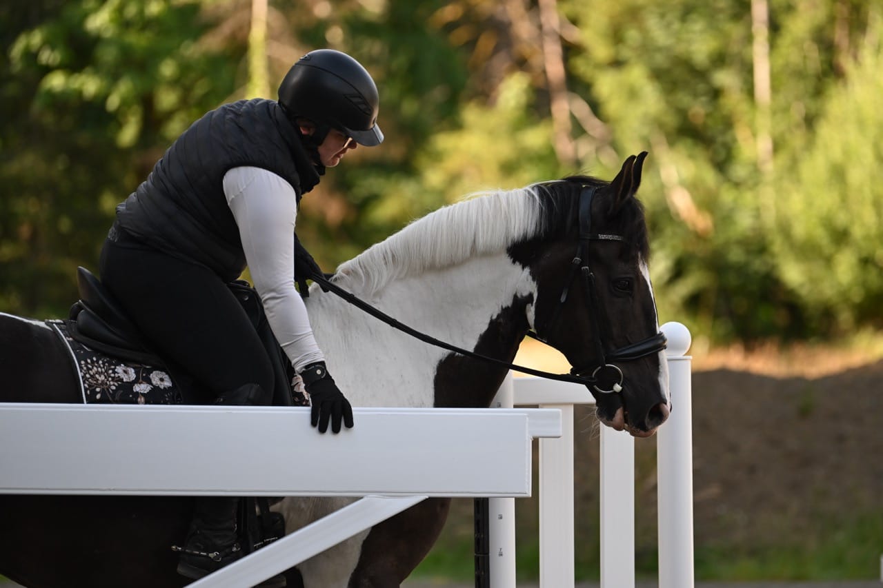 Jump 4 Joy Working Equitation Gate Obstacle