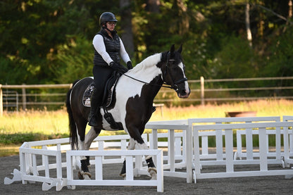 Jump 4 Joy Working Equitation Pen Obstacle
